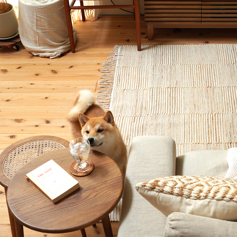 pet_interior_living (3).jpg