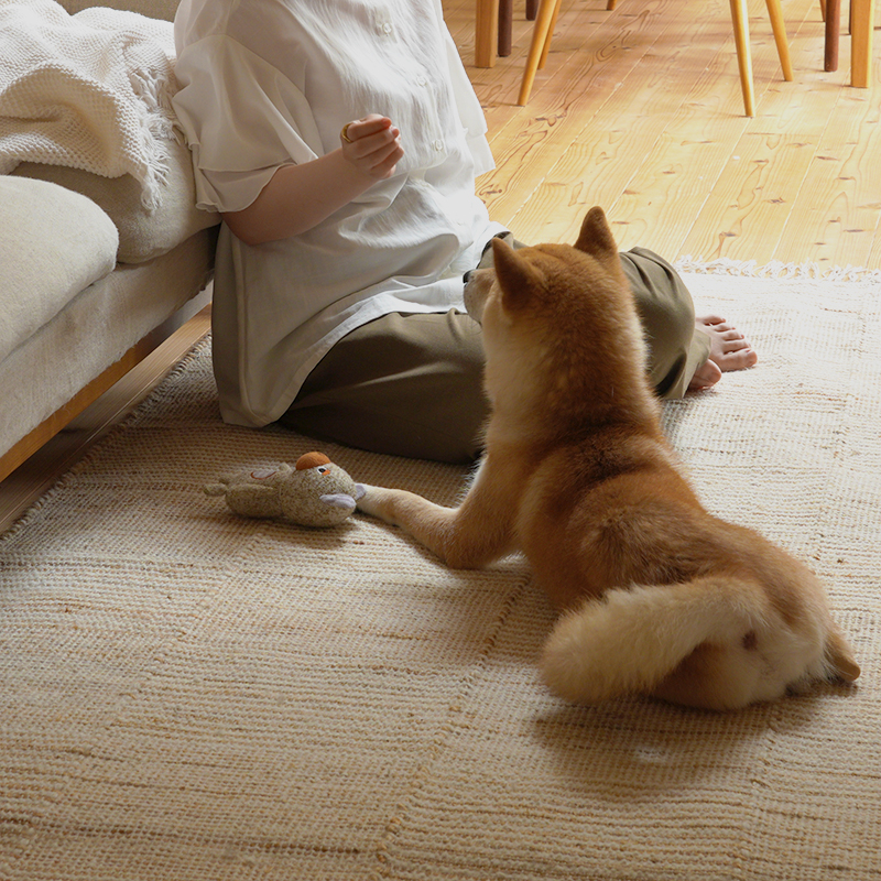 pet_interior_living (4).jpg