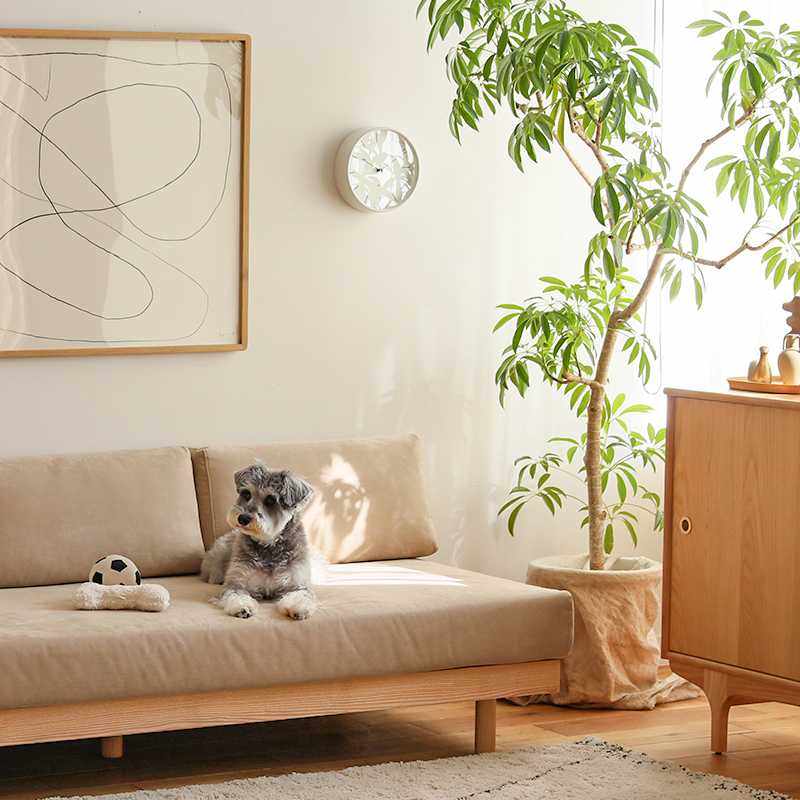 pet_interior_living (7).jpg