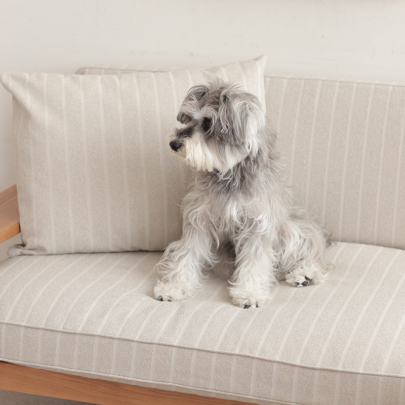 pet_interior_living (9).jpg