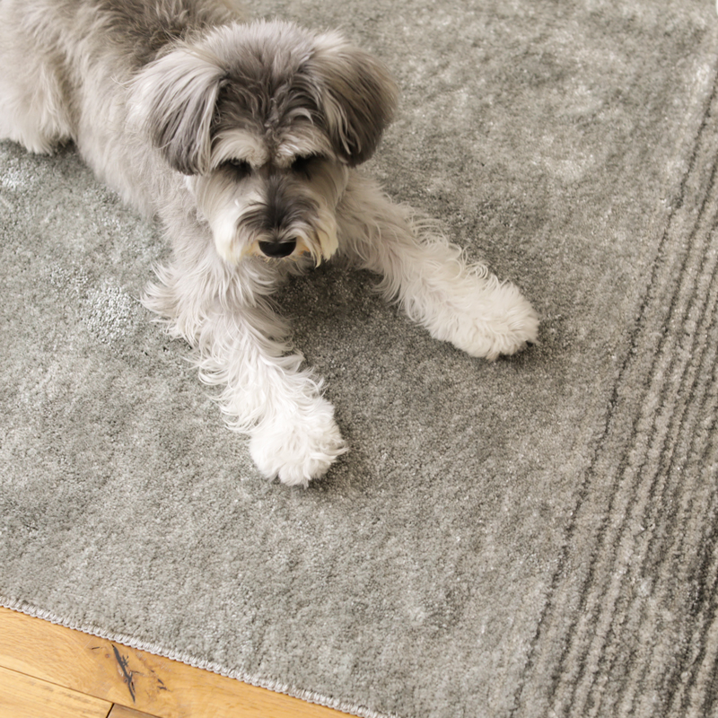 pet_interior_living (10).jpg