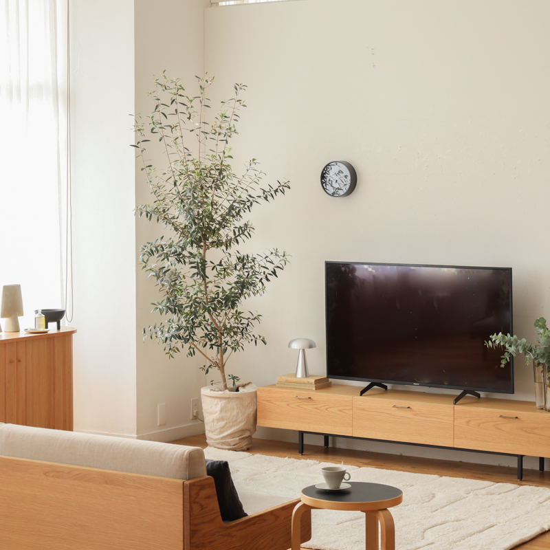 TV_VS9.jpg
