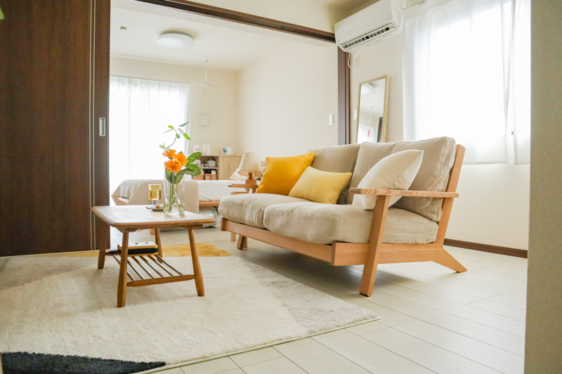 noana_sofa_favorite (20).jpg