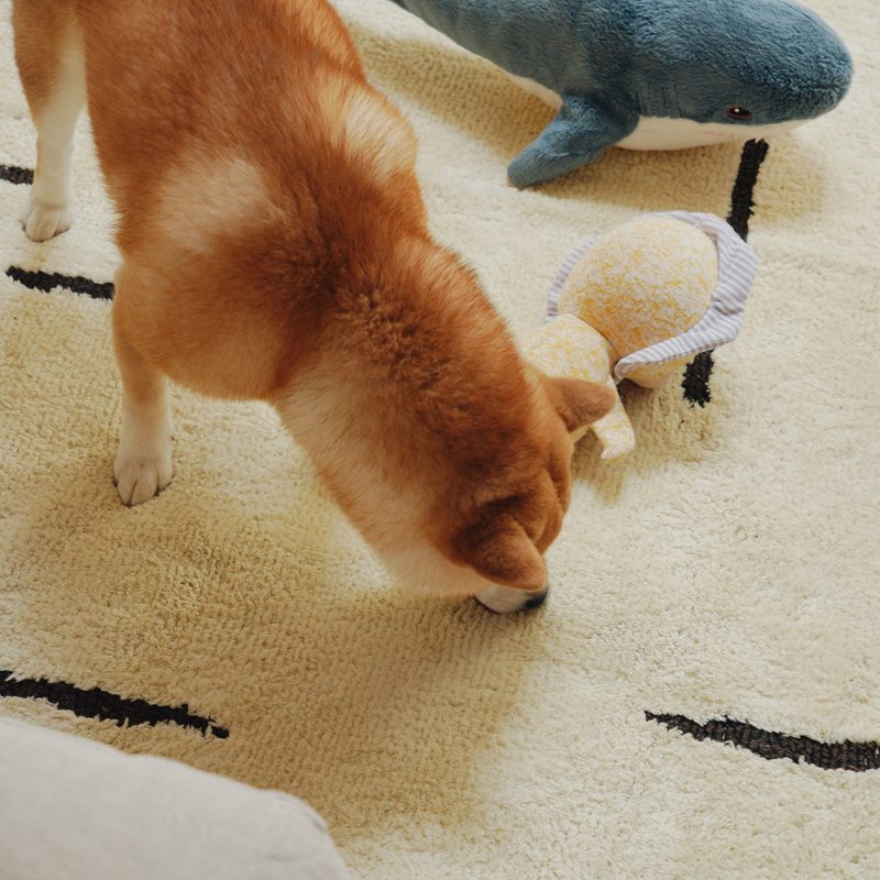 rug_clumore_01.jpg