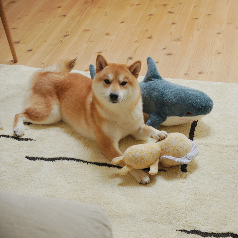 rug_clumore_10.jpg