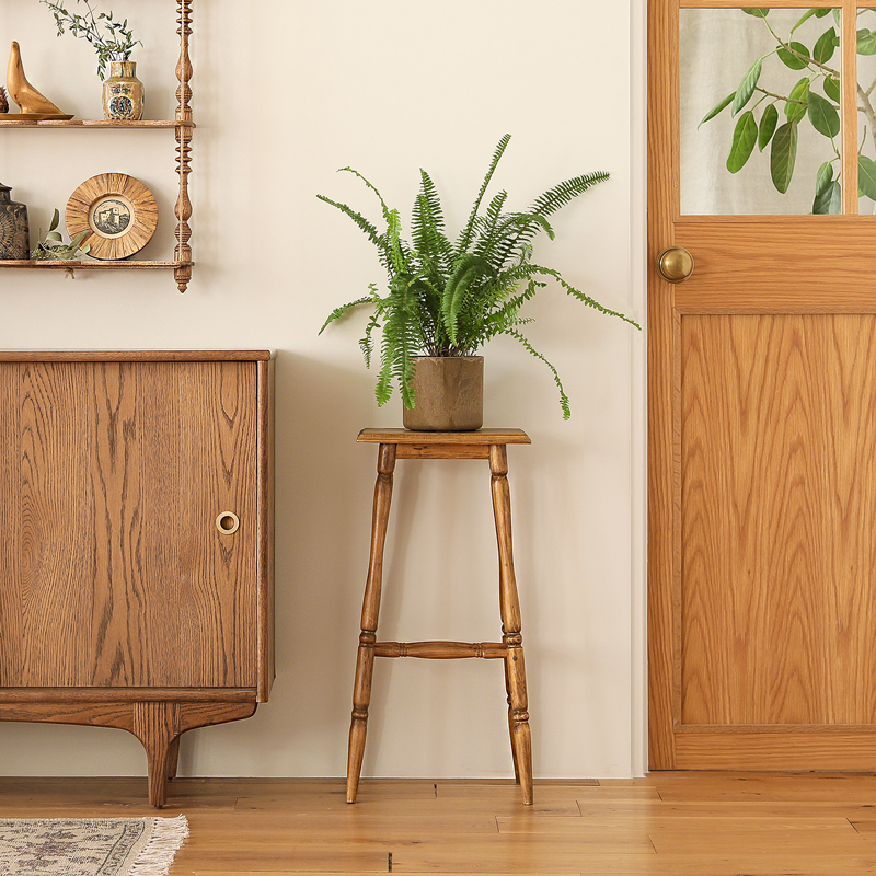 houseplant_placement_guide_18