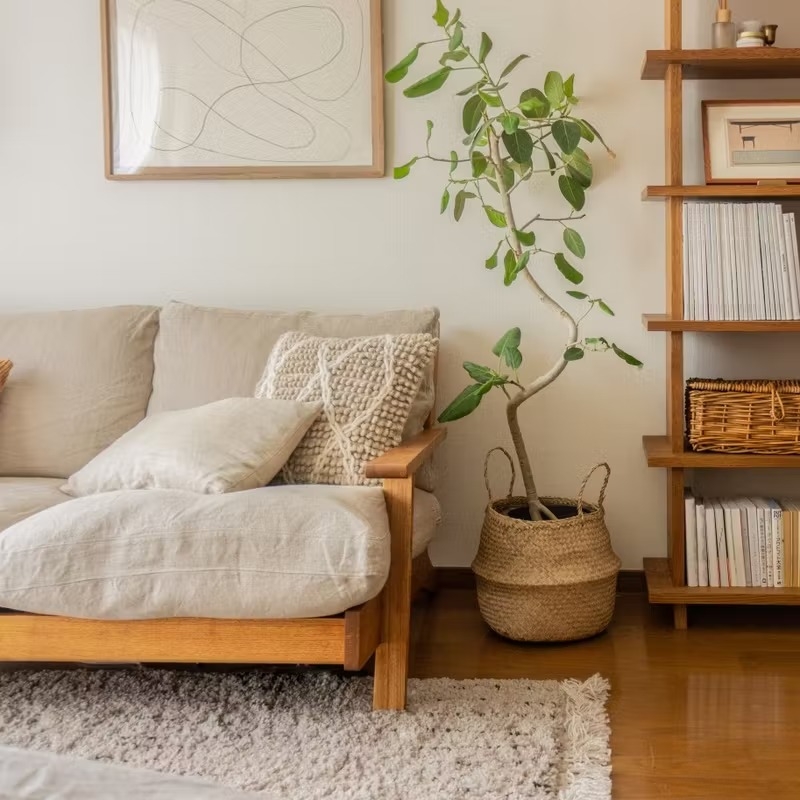 houseplant_placement_guide_07