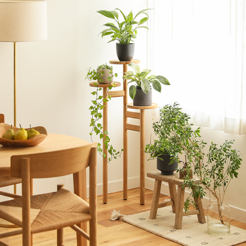 houseplant_placement_guide_15