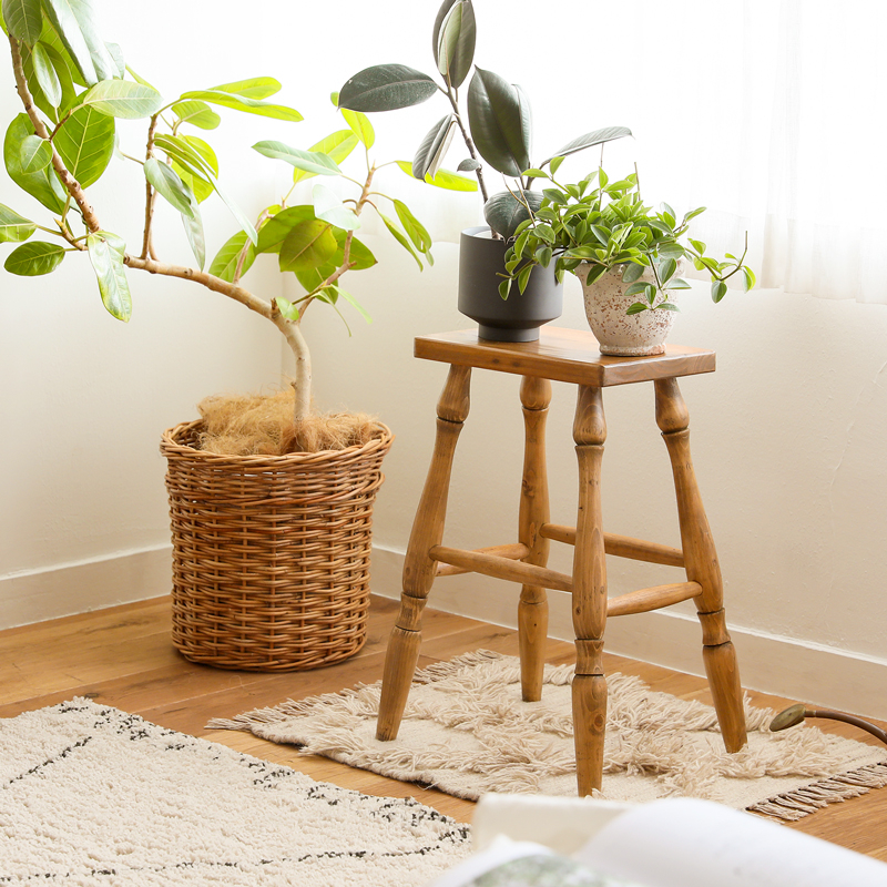 houseplant_placement_guide_01