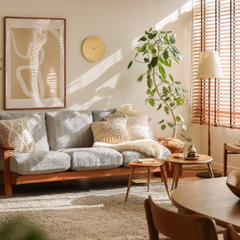 houseplant_placement_guide_04