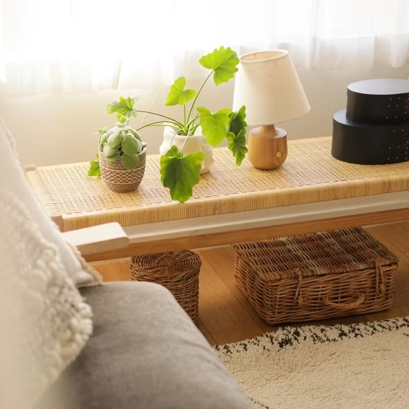 houseplant_placement_guide_03