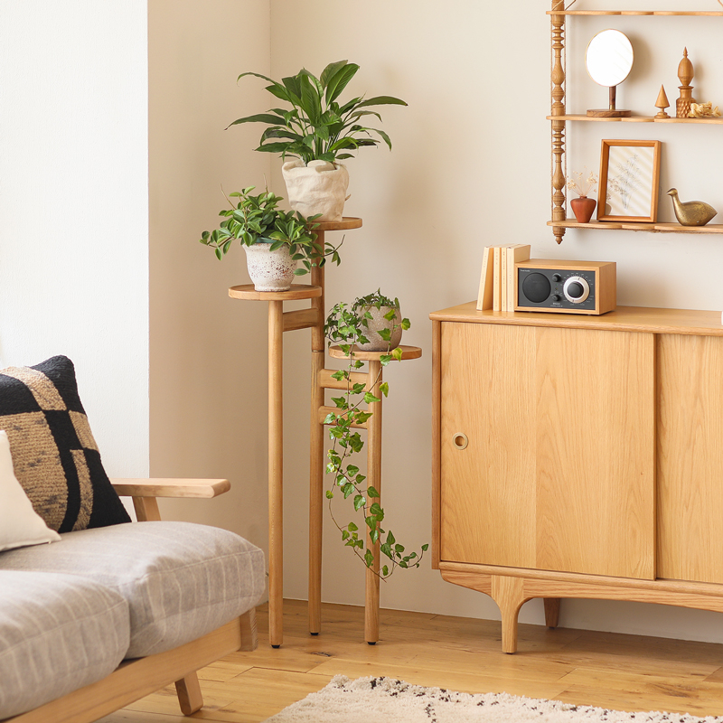 houseplant_placement_guide_21
