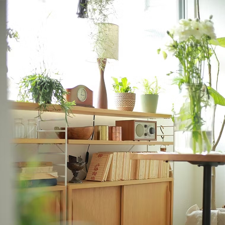 houseplant_placement_guide_24