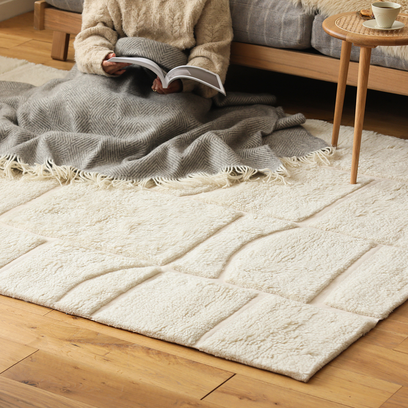 Roomba_rug_18