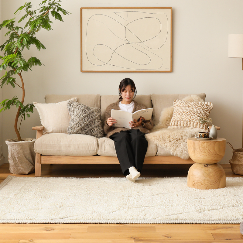 Roomba_rug_27