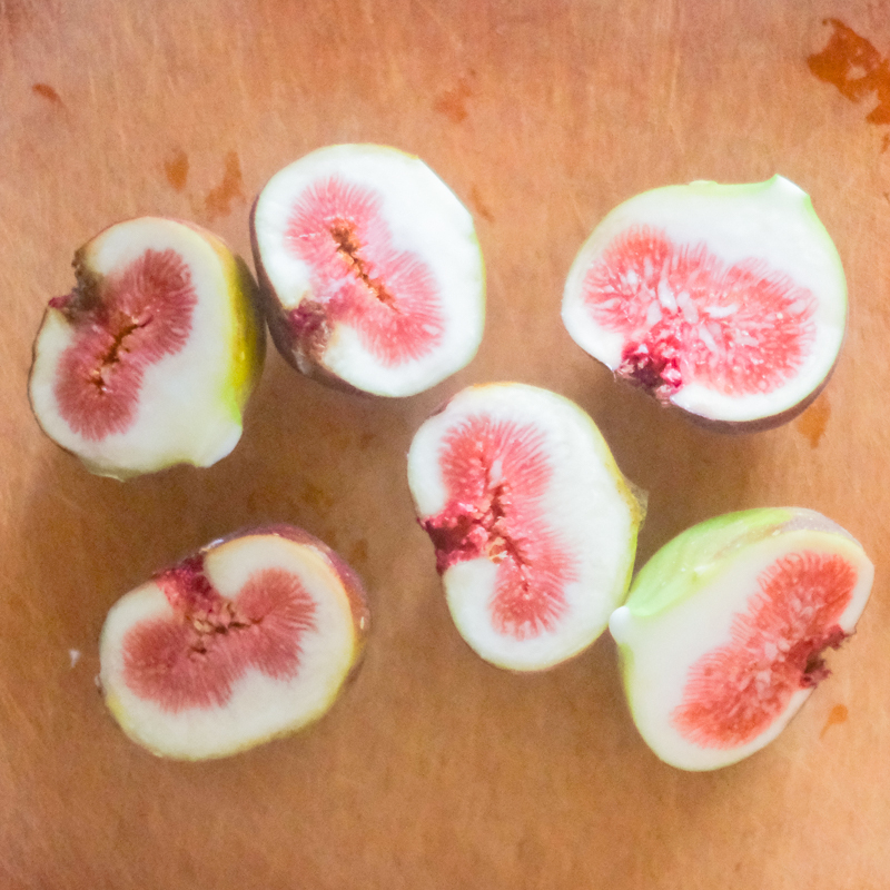 fig_sansho_fritter_recipe.jpg
