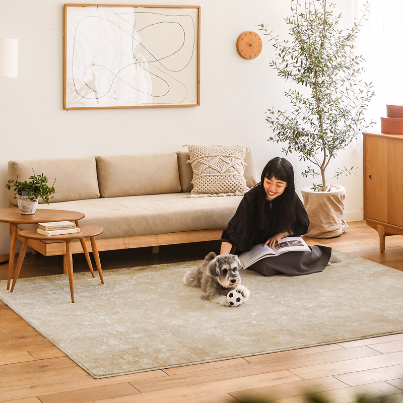 receno_rug_comparison_25