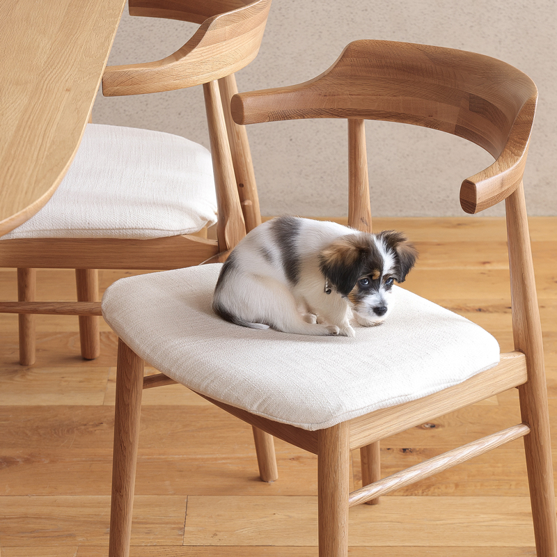 ★9-1-犬生成サンプル_ペット対応生地（アイボリー）_加納さんマガジン専用_木フレームpairチェアマージ_1T9A8996.jpg