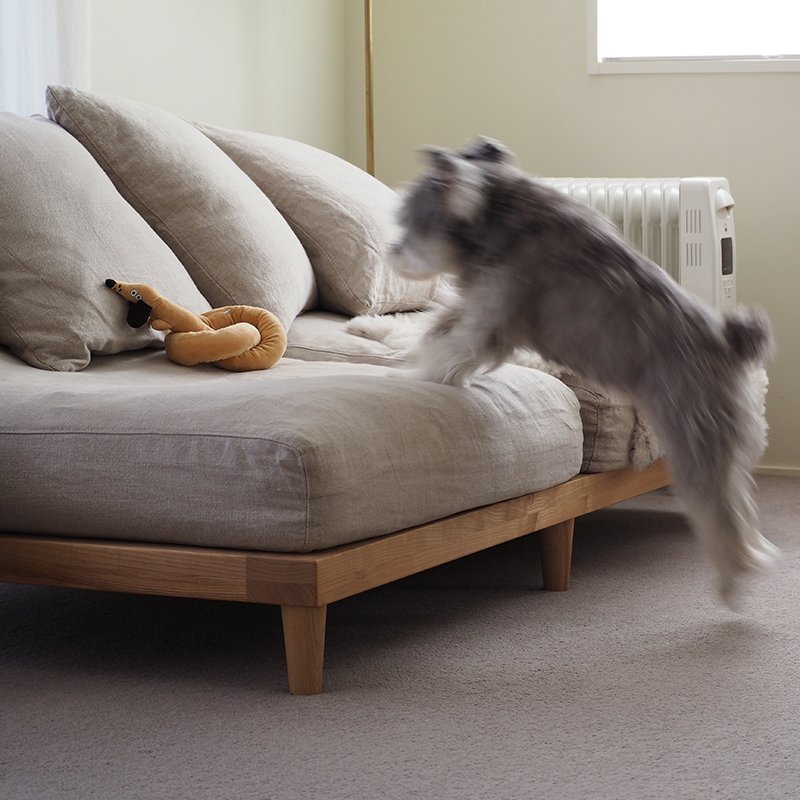 pet_sofa_lifestyle (3).jpg