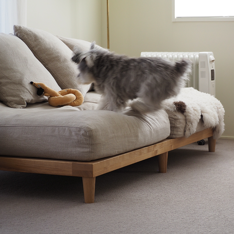 pet_sofa_lifestyle (4).jpg