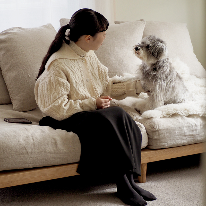 pet_sofa_lifestyle (11).jpg