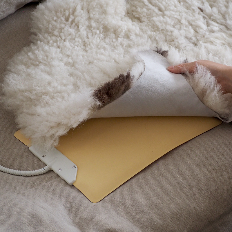 pet_sofa_lifestyle (8).jpg