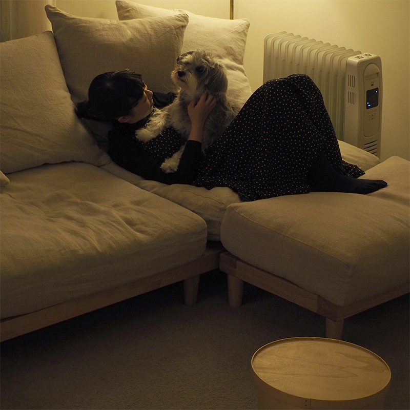 pet_sofa_lifestyle (12).jpg