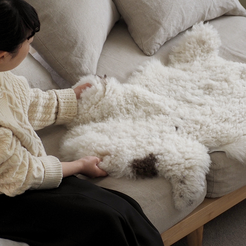 pet_sofa_lifestyle (10).jpg