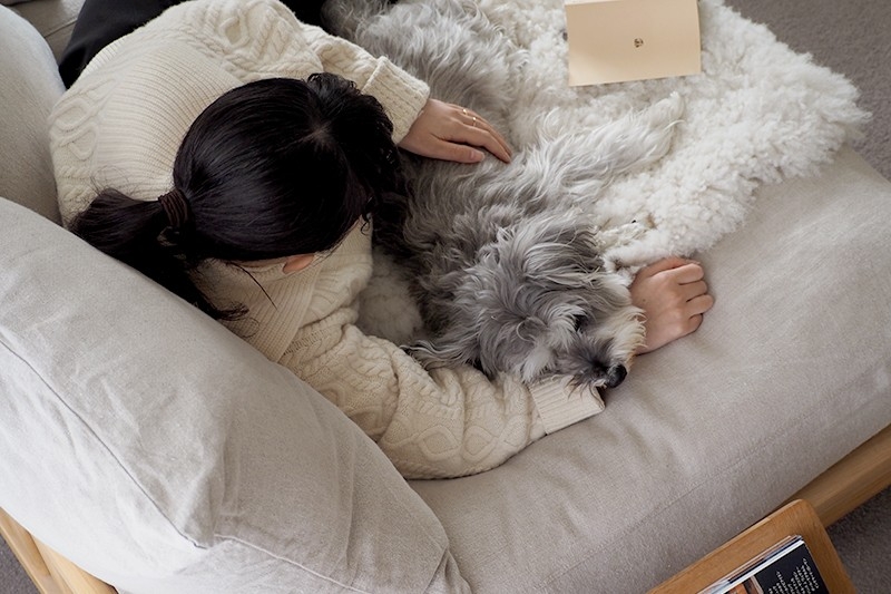 pet_sofa_lifestyle (6).jpg