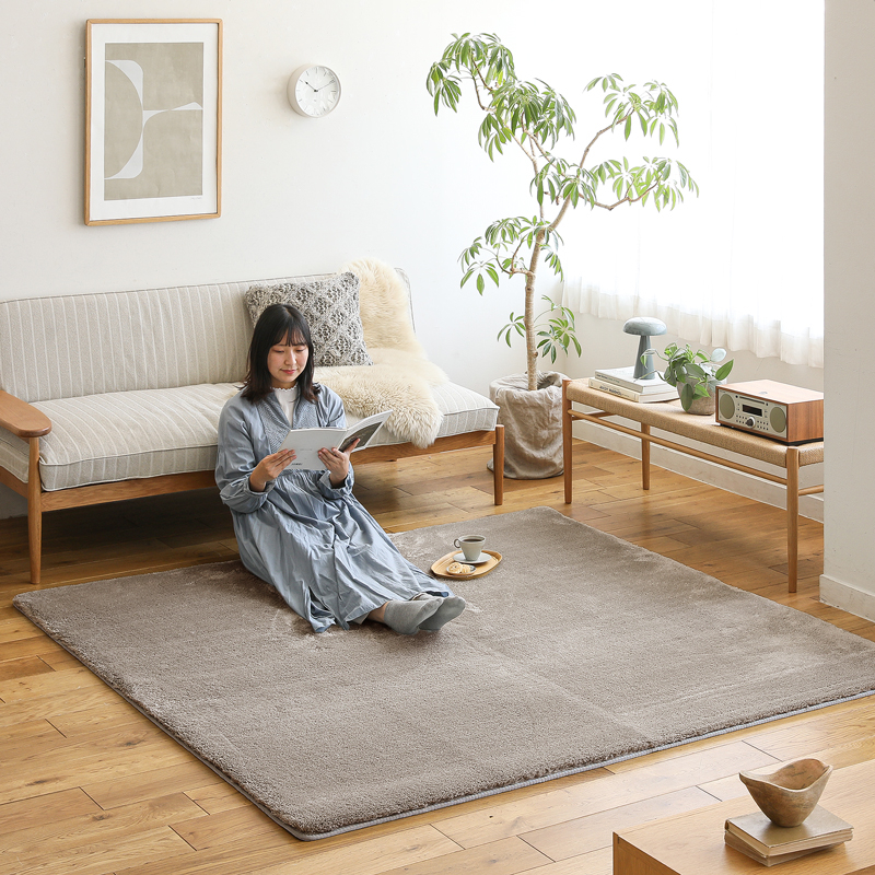 sofa_rug_color_match_03