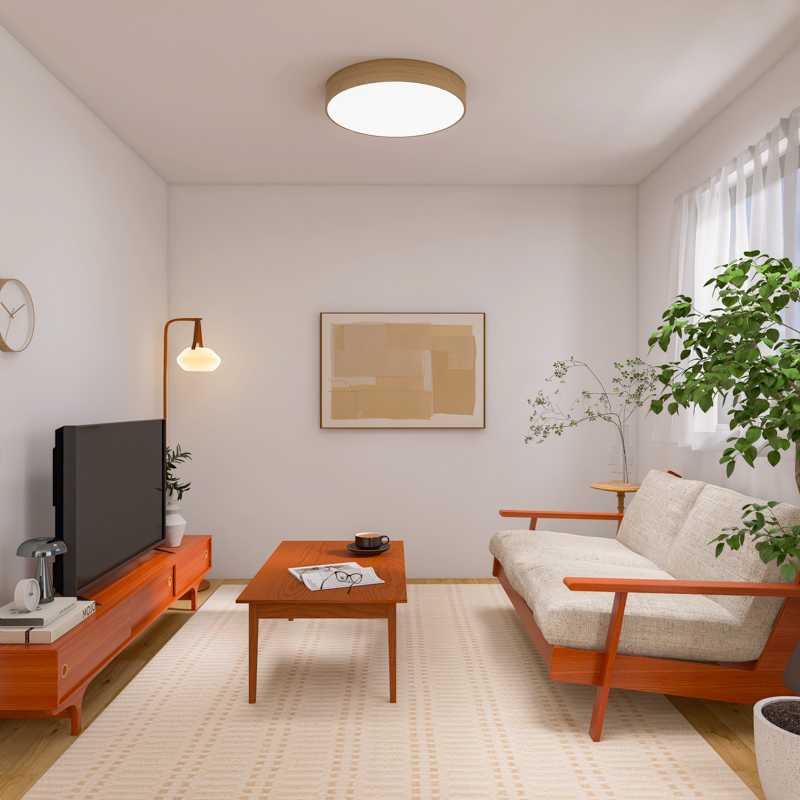 living_without_tv (5).jpg