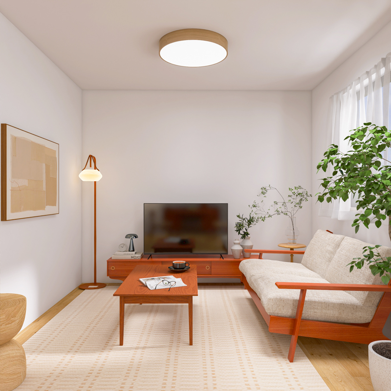 living_without_tv (7).jpg