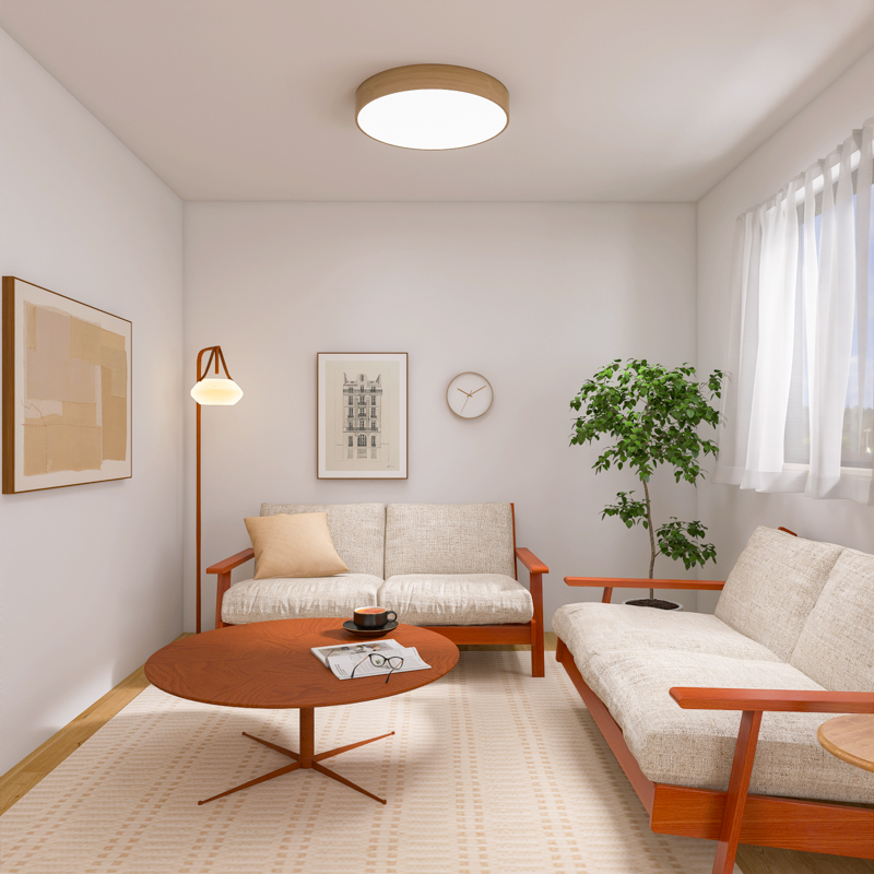 living_without_tv (8).jpg