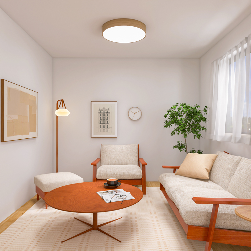 living_without_tv (1).jpg