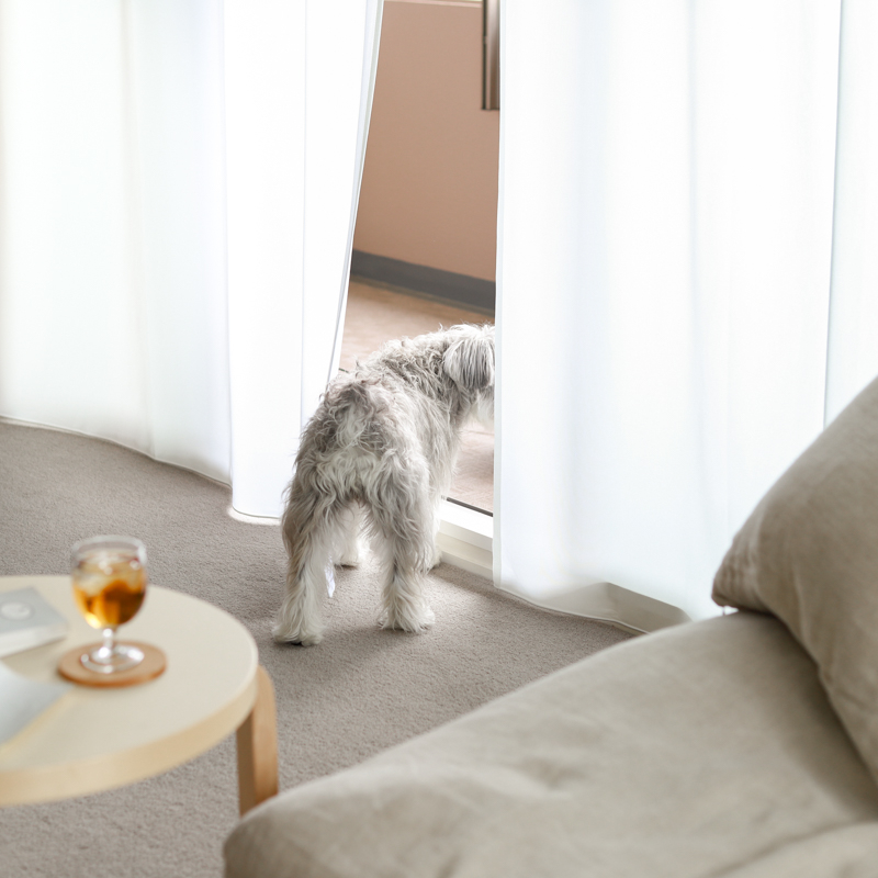 curtain_single_use (22).jpg