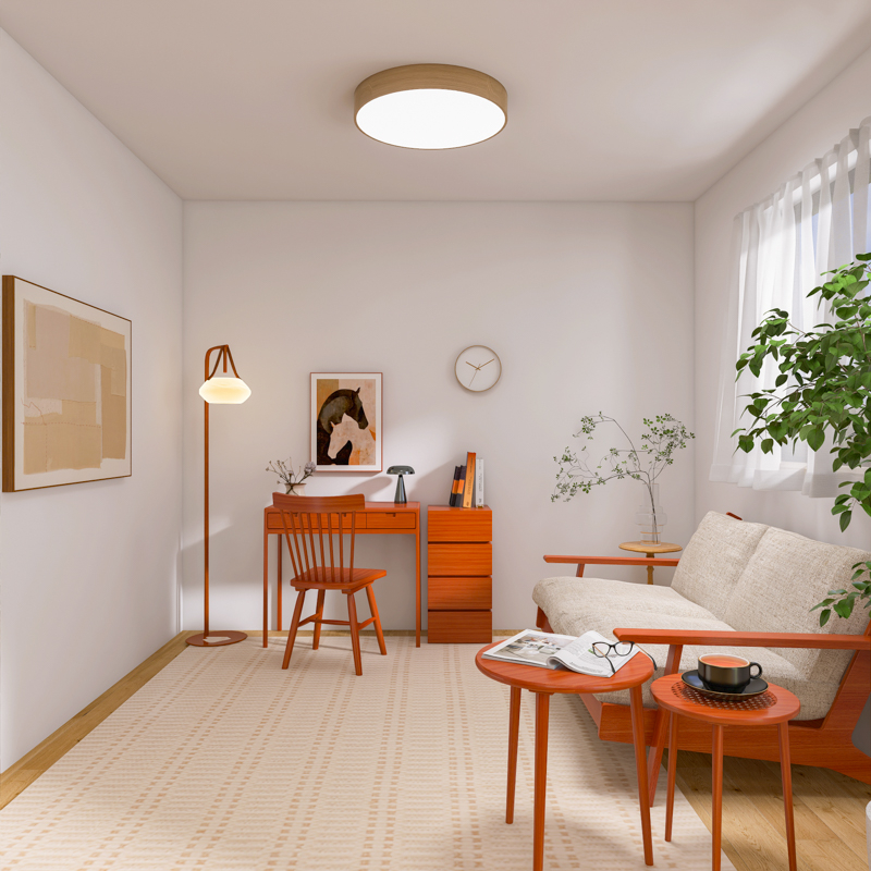 living_without_tv (12).jpg