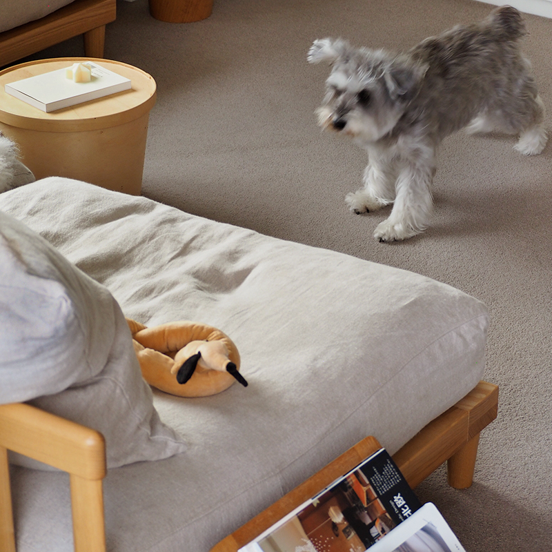 pet_sofa_lifestyle (14).jpg