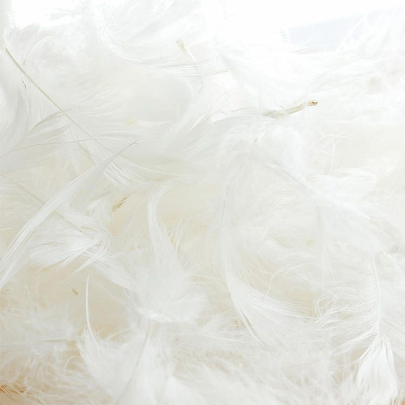 noana_sofa_faq (16).jpg