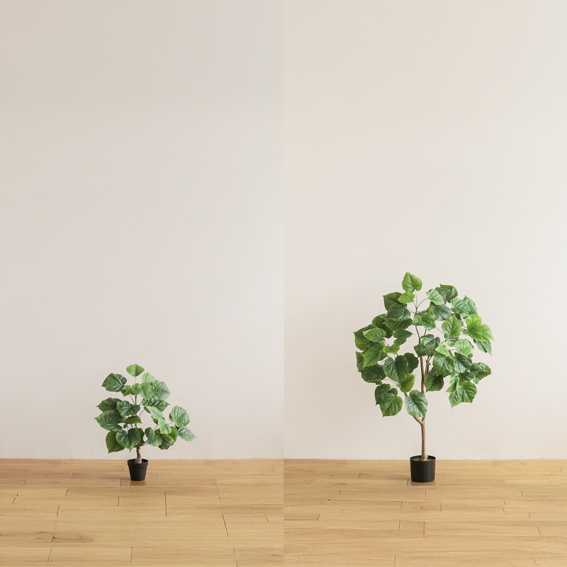 ★サイズ比較（60・120cm）_フェイクグリーン　ウンベラータ_4P6A4087 (1).jpg