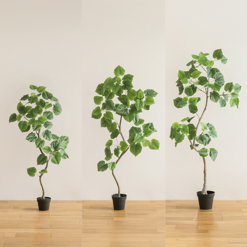 ★サイズ比較（150・180・210cm）_フェイクグリーン　ウンベラータ_1T9A2960 (1).jpg