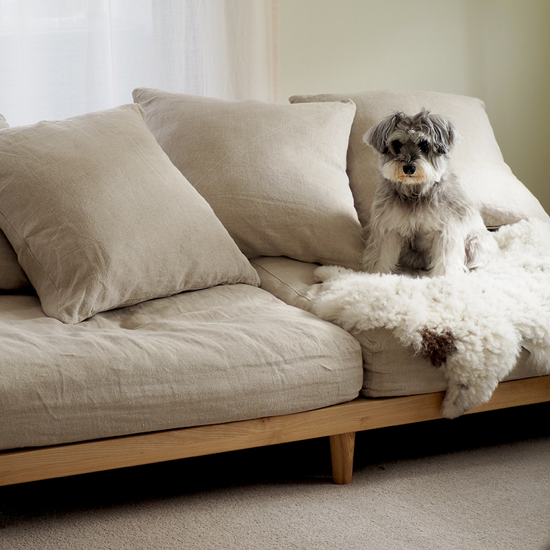 pet_sofa_lifestyle (5).jpg