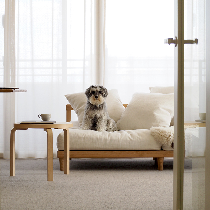 agra_sofa_pet_fabric (5).jpg