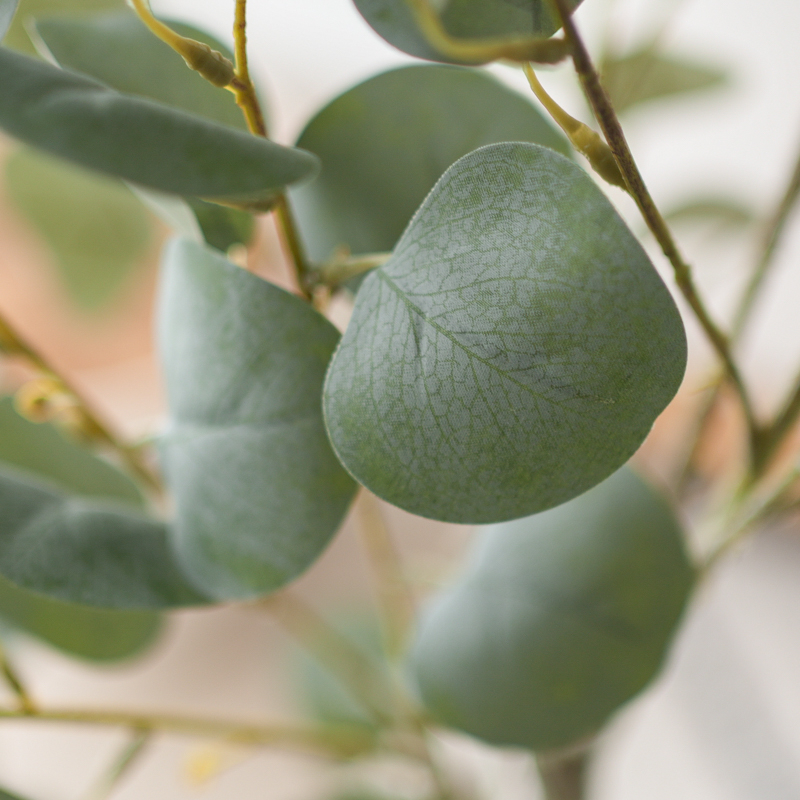 myfavorite_fakegreen (18).jpg