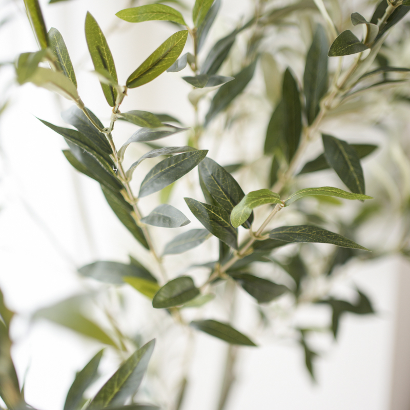 myfavorite_fakegreen (16).jpg