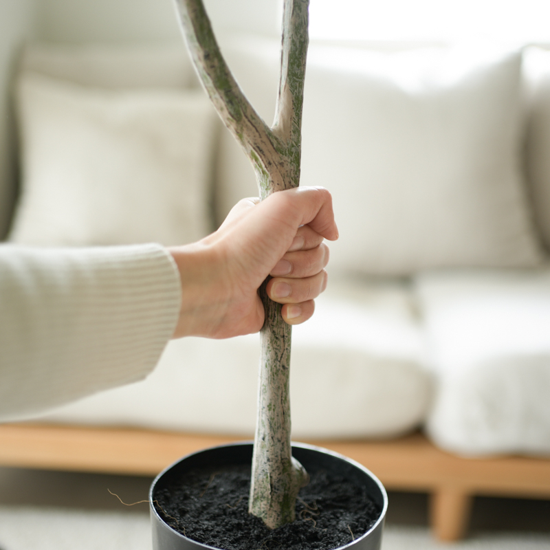 myfavorite_fakegreen (17).jpg