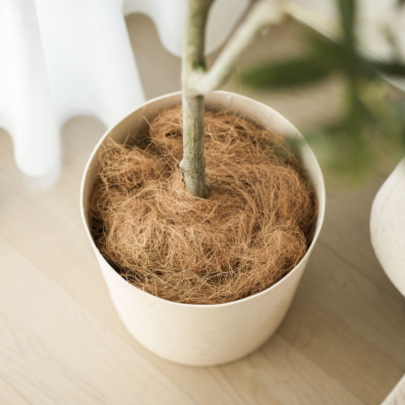 myfavorite_fakegreen (2).jpg