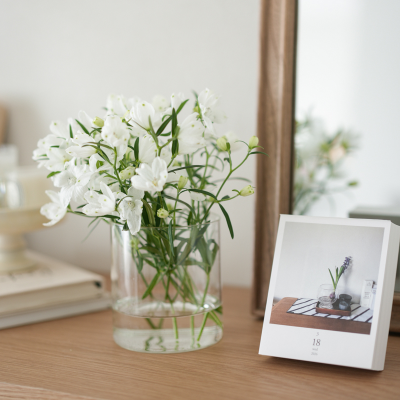 myfavorite_fakegreen (8).jpg