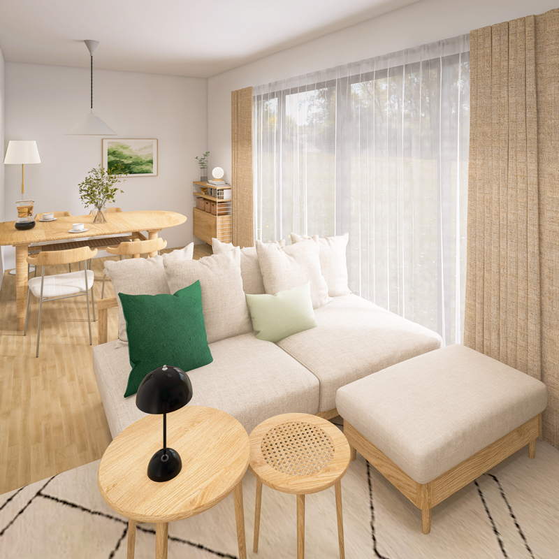 living_sofa_layout (95).jpg