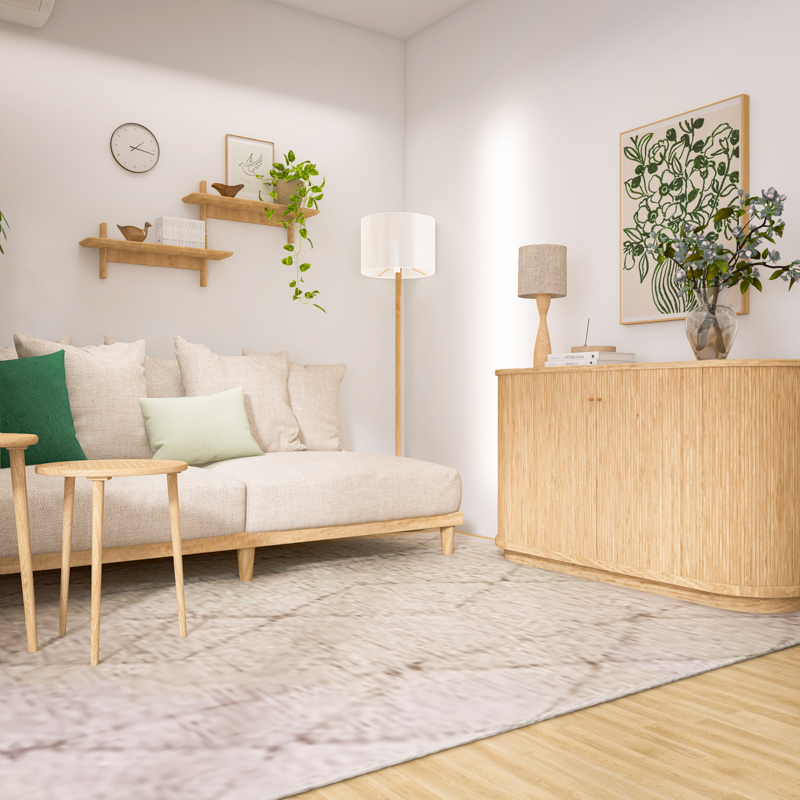 living_sofa_layout (77).jpg