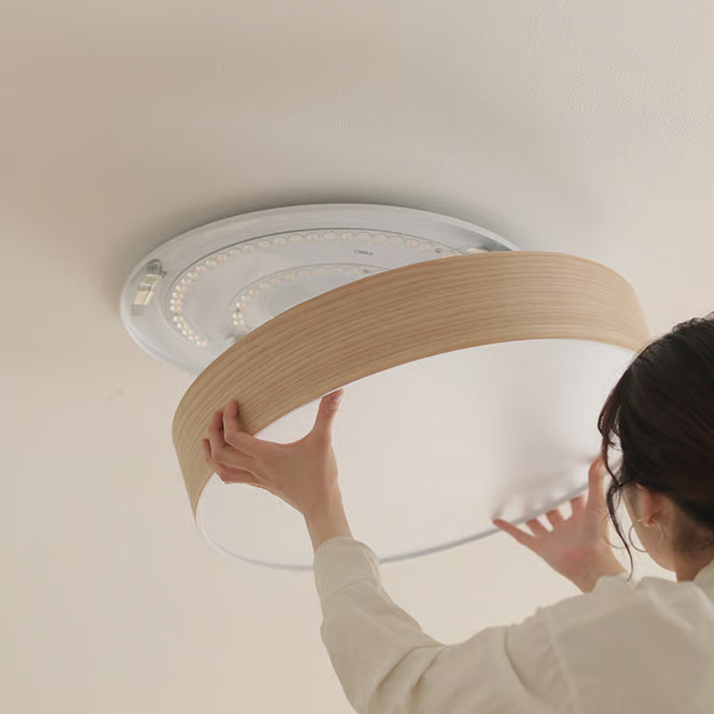 ceiling light3.jpg